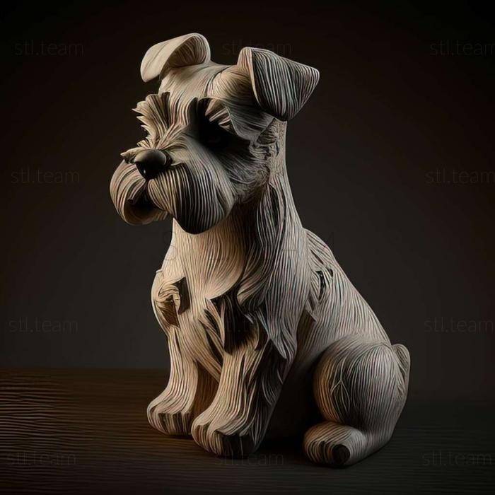 Zwergschnauzer dog